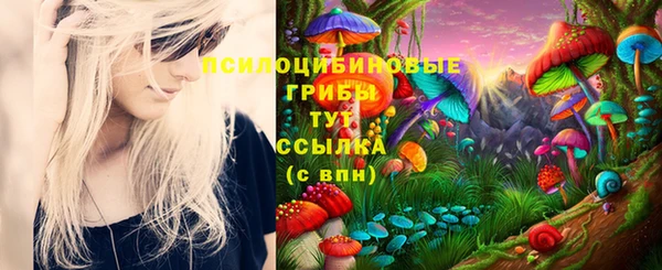 прущие грибы Абдулино